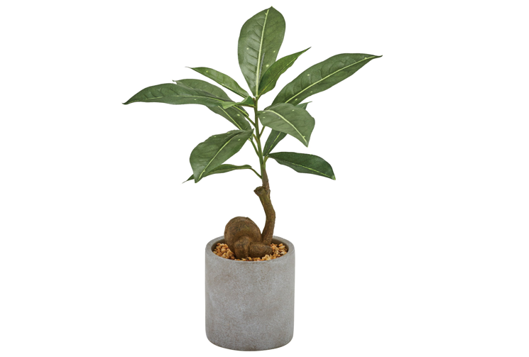 フェイクグリーン】 コーヒーの木 鉢一体型〈横浜ディスプレイ