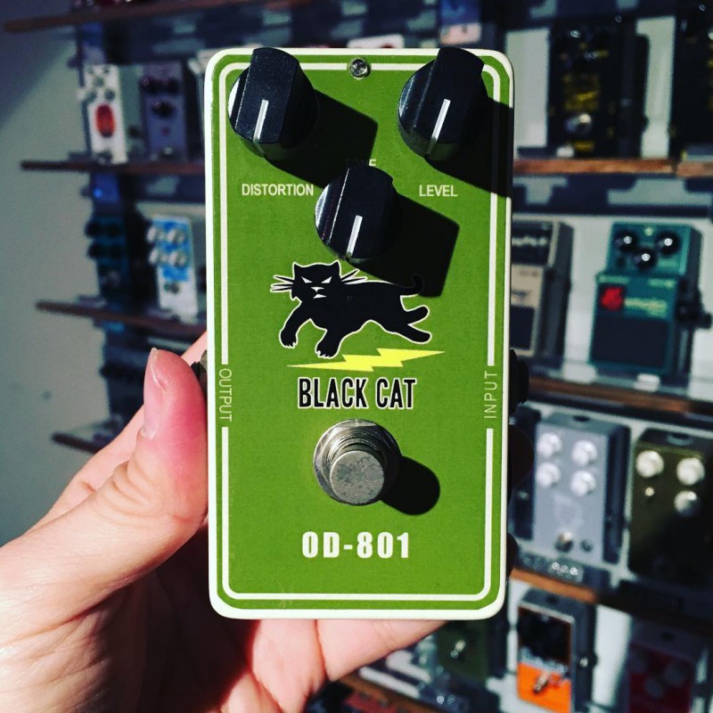 BLACK CAT / OD-801 | STIFF SLACK WEBSHOP