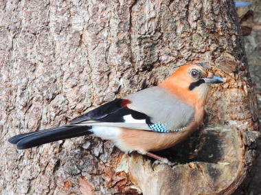 花と光と風と・・・