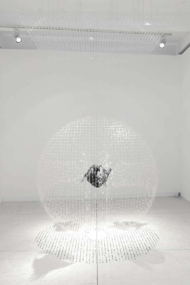 Claire Morgan Suspended Beauty | Memento Mori