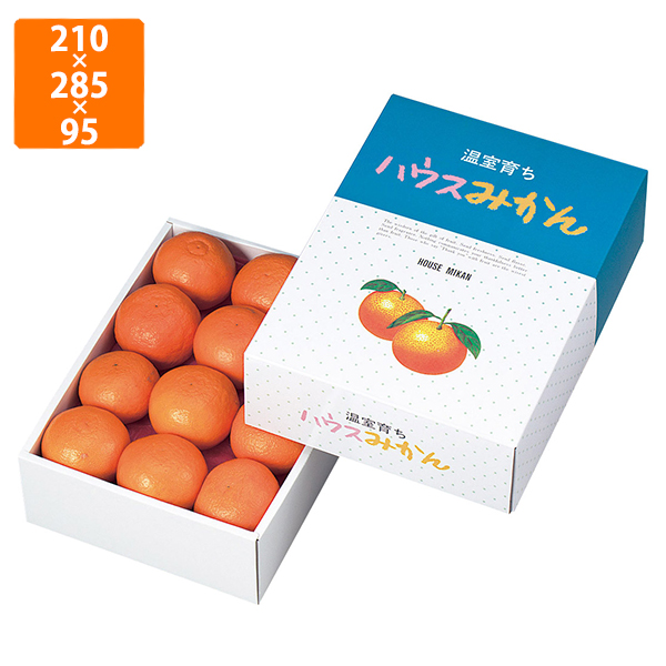 化粧箱】L-400 ハウスみかん2段 210×285×95mm (60枚入) | 包装資材・袋