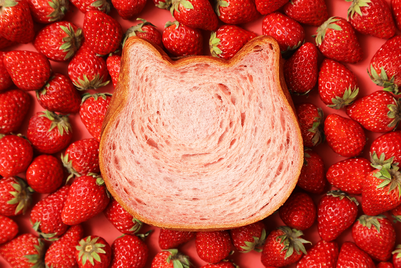 3月1日より発売！】いちごの旨味を閉じ込めた『ねこねこ食パン 濃い