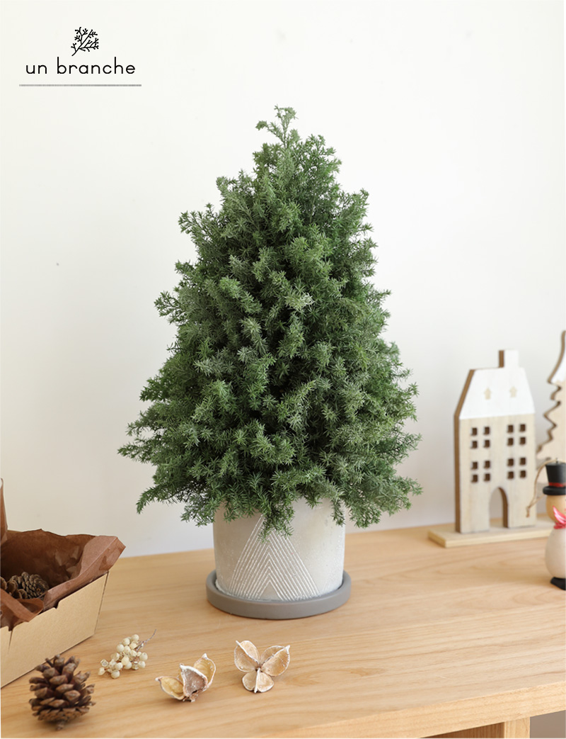 クリスマス ヌードツリー｜プリザーブドグリーン 花材 販売 小分け