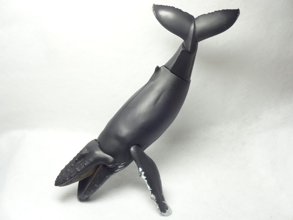 ソフビトイボックス013Aザトウクジラ