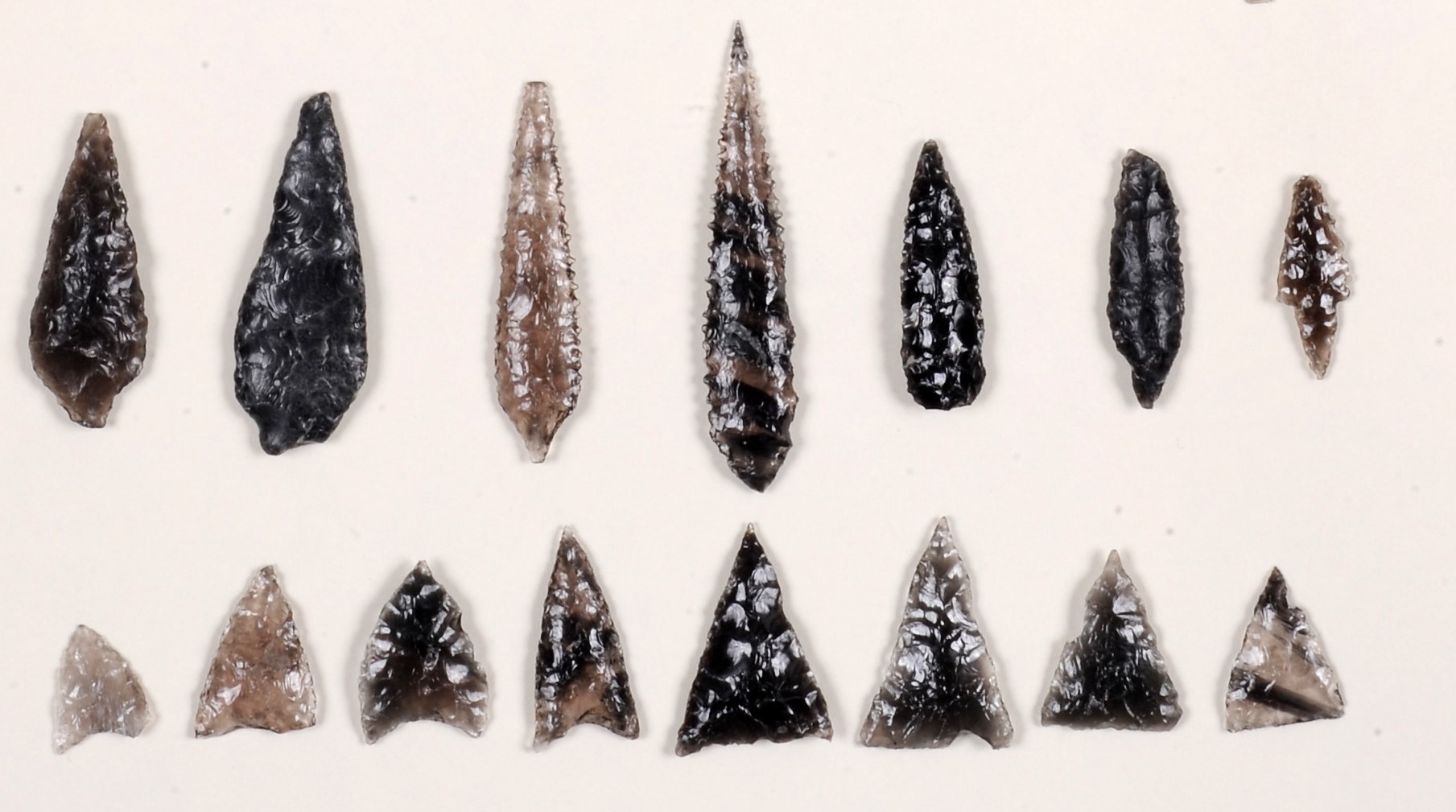 第32回特別展「運ばれてきた黒曜石－野尻湖遺跡群から出土した黒曜石製