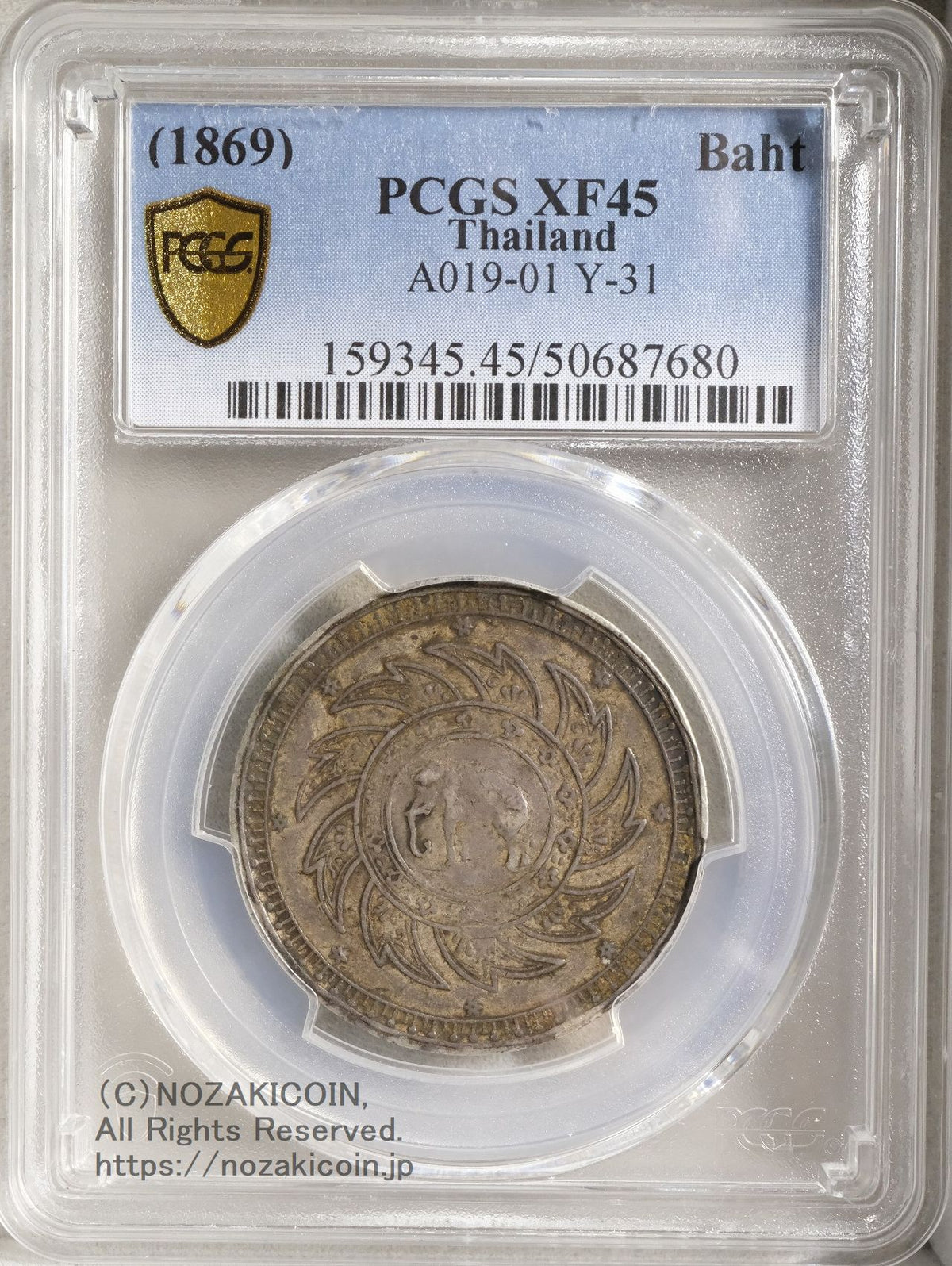 s-DSCF0589_1200x.jpg?v=1746007924