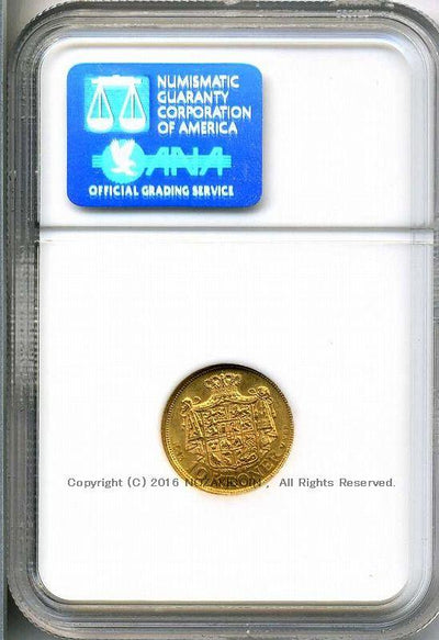 imgg181_1_400x.jpg?v=1689654080