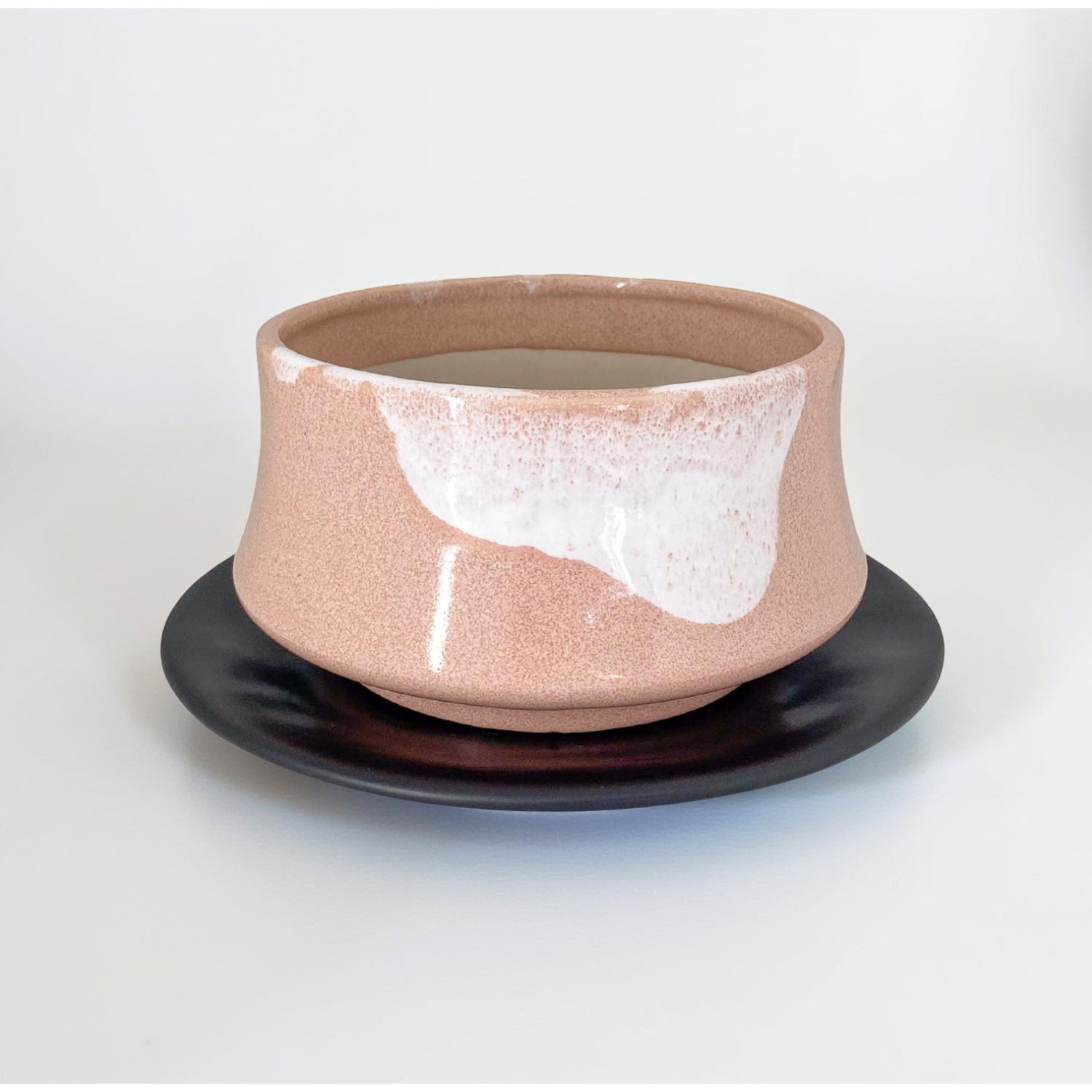 盆栽鉢｜塊根植物｜美濃焼｜和鉢｜鉢の専門店onajimi おなじみ