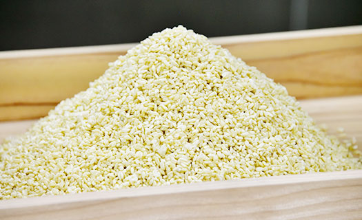 ユーグレナのみどり麹（90粒）｜ユーグレナ・オンラインショップ