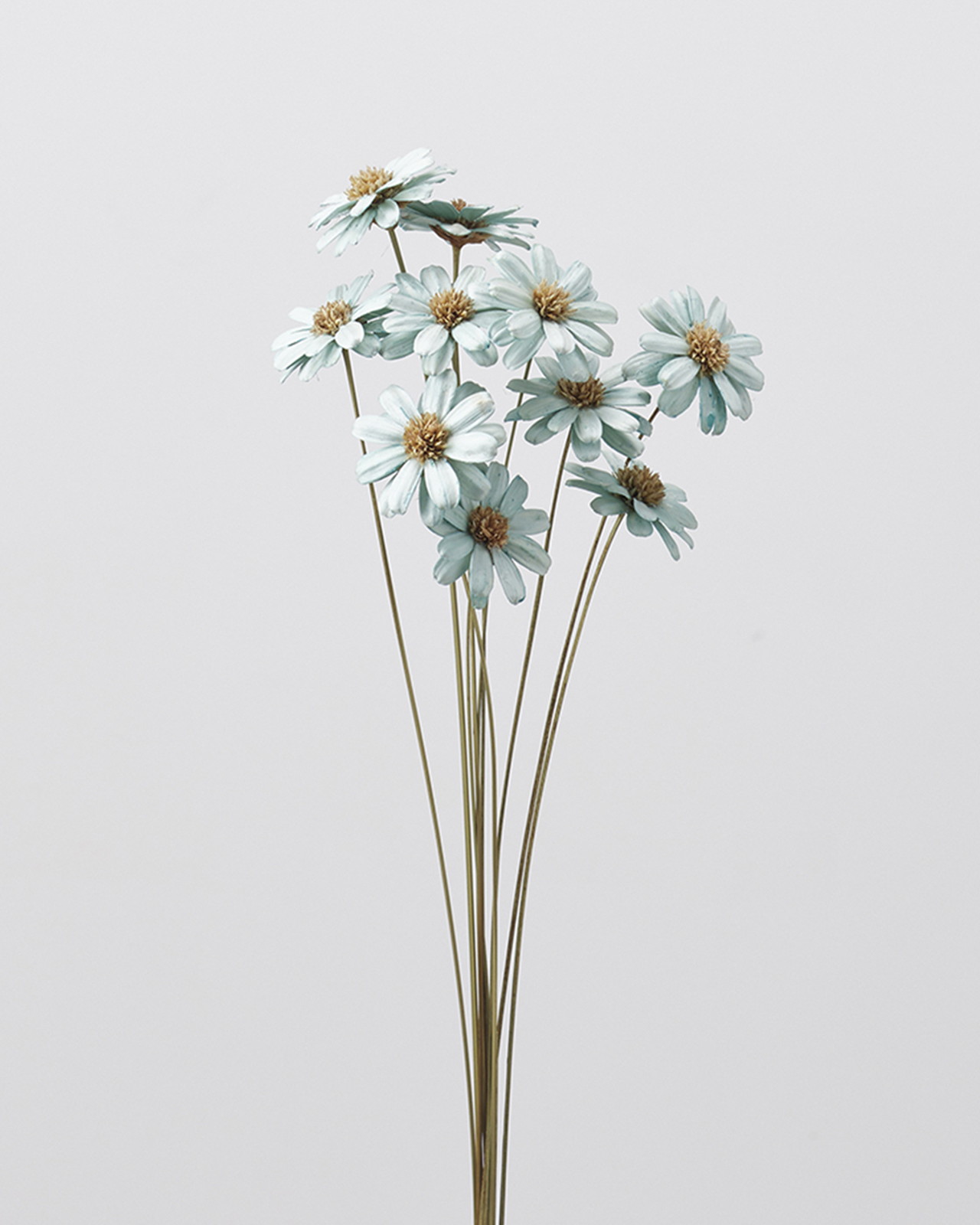 ﾏｰｶﾞﾚｯﾄﾌﾗﾜｰ ﾍﾟｰﾙﾌﾞﾙｰ: ドライフラワー ｜ YDMオンラインストア