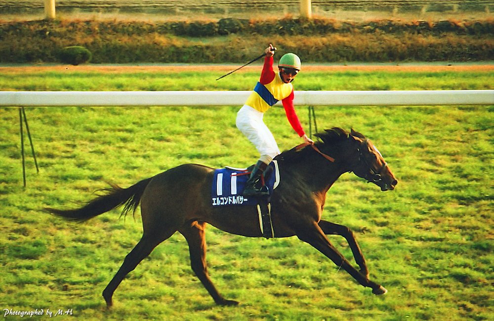 1998年ジャパンカップ、エルコンドルパサーと蛯名正義騎手。