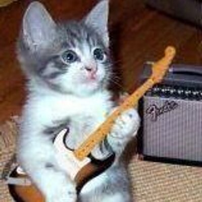 猫ギター・尾道・US塾塾長 (@nekoguitar) / Posts / X