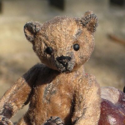 Saeri Bear (@sae_oma) / Posts / X