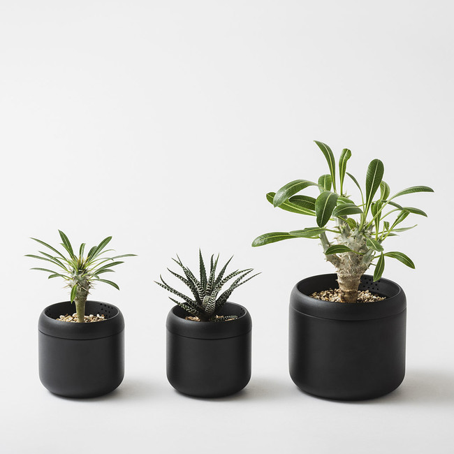 植物を、もっと暮らしのそばに。 | 株式会社テントのプレスリリース