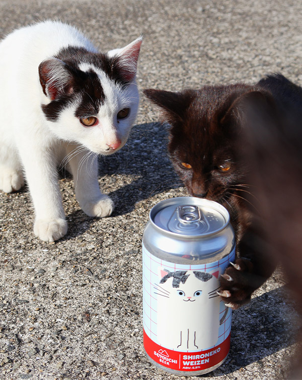 白猫に落書きして“うちの子”カスタム 猫も幸せにするクラフトビール