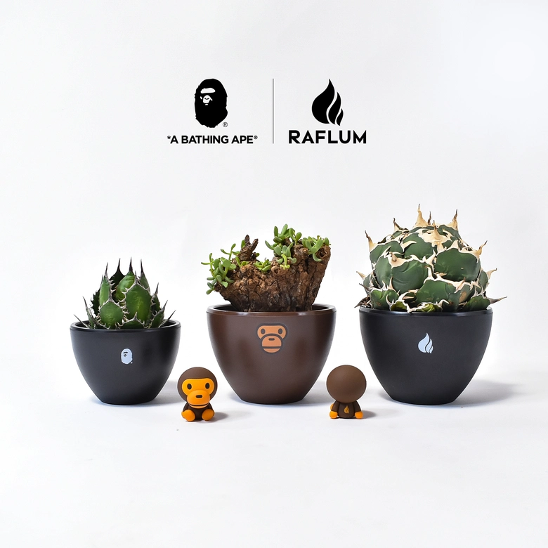 今年25周年を迎えたベイビーマイロを記念し、A BATHING APE®とプランツ