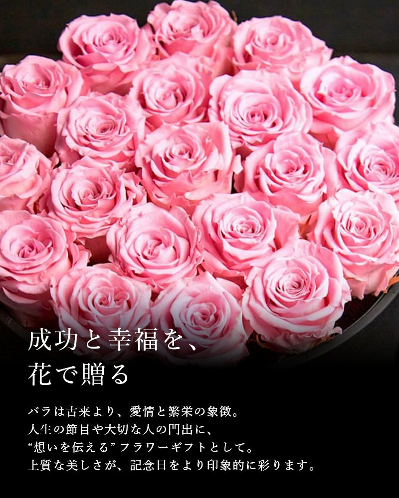 カムアップローゼス(M-N20) | ローズギャラリー銀座 オンラインショップ