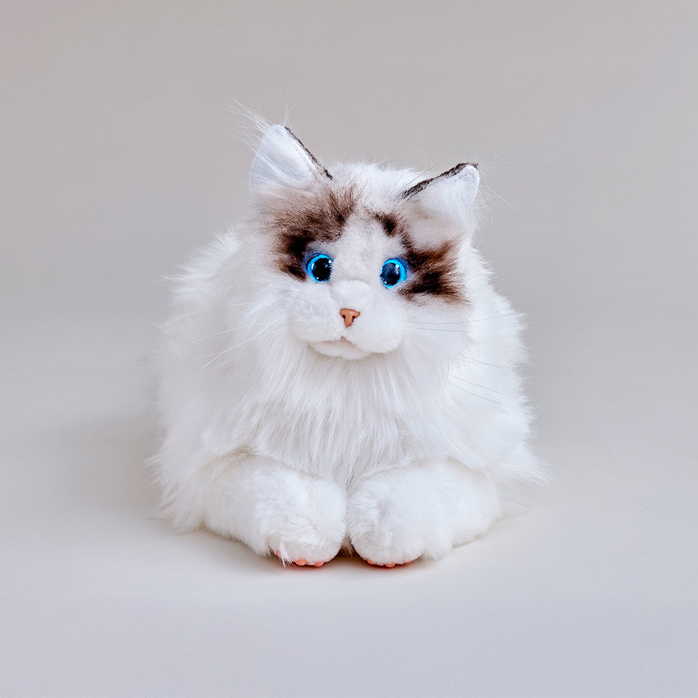 KIMIT ラグドール（ブラウン） | セガ フェイブ ストア【公式
