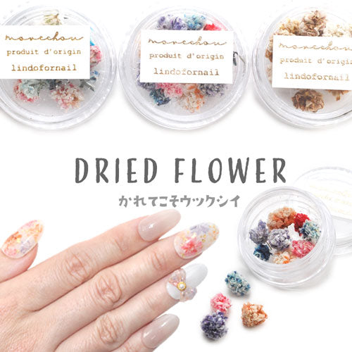 押し花 押花 ドライフラワー 春 お花 ハーバリウムアート が楽しめる