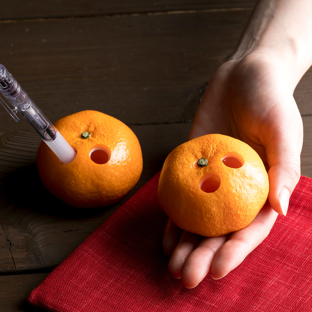 元祖食品サンプル屋「みかんのペン立て」
