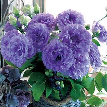 739-FRS759.jpg?202602031613