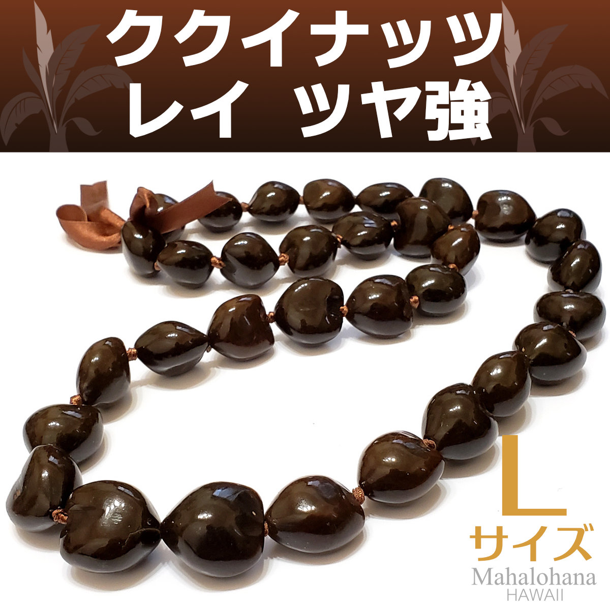 フラダンス ククイナッツ レイ ダーク ブラウン (こげ茶) ツヤ強め