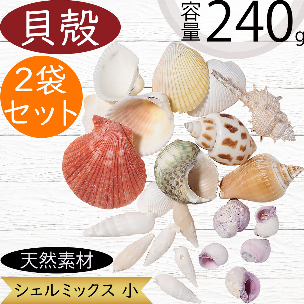 貝殻 シェル おしゃれ 人気 天然素材 シェルミックス 小 アソート