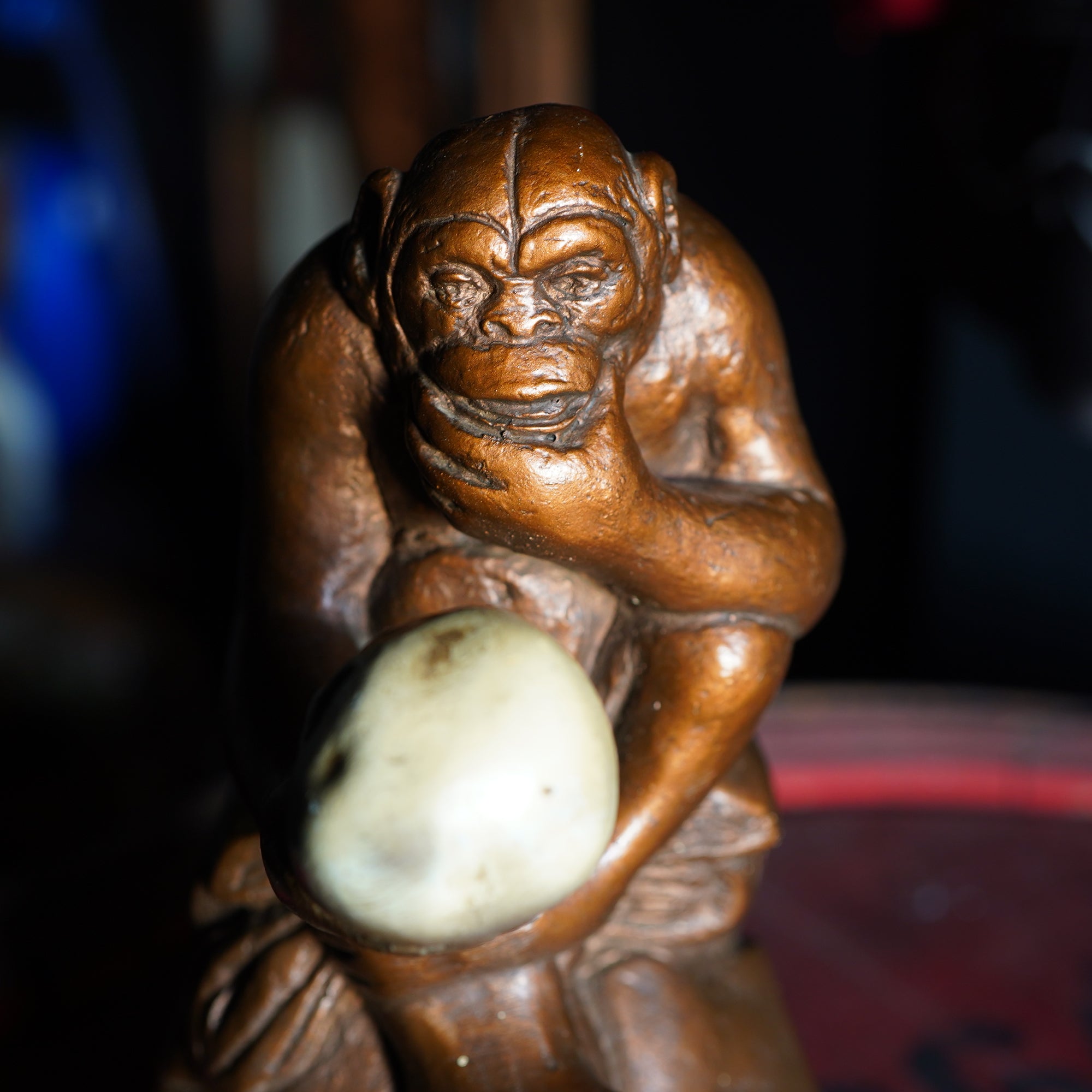 1960's 頭蓋骨を持つ猿 オブジェ – SK OLDIES