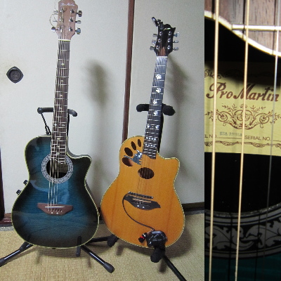 Pro Martin EA350 BLS | ソロギターのしらべ練習帳