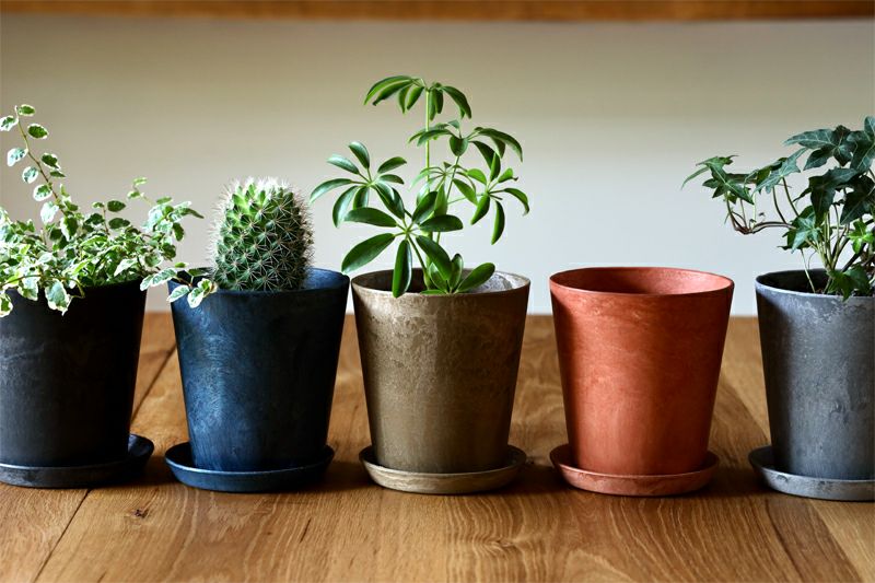 000000001945-03.jpg?size=l&w=