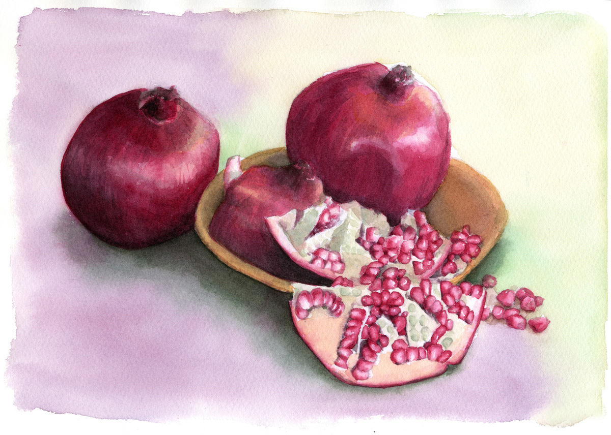 柘榴（ざくろ）を水彩で描きました ｜ 毎日水彩画