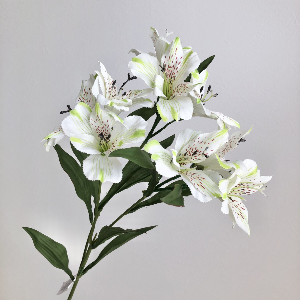 造花】ビバ工芸/VD-4147 アリストロメリア CR/VD-4147CR - 花材通販は