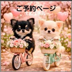 激レアサイクリングチワワ、ポメラニアン、柴犬、マルチーズ、パグ