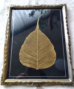 菩提樹 葉脈 24金コーティングアート - メルカリ