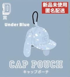 24時間以内発送！Eve くじ キャップポーチ underblue - メルカリ