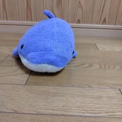 m19279882821_1.jpg?1729689949