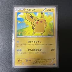 m36067121384_1.jpg?1710138353