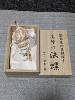 m30729446334_1.jpg?1751542925