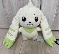 m32438956073_1.jpg?1747140957