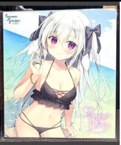 りしぇちゃん 複製色紙 (宮坂みゆ) C100（CANVAS+GARDEN） - メルカリ