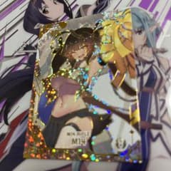 acgセクシーカード PJ⭐︎UR025 美品 - メルカリ