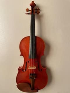 ピグマリウス DX-118 4/4サイズ 駒調整済み - メルカリ