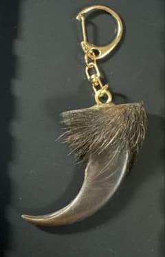 羆 熊の爪 お守り 7cm - メルカリ