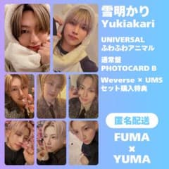 &TEAM FUMA YUMA 雪明かり アニマル トレカ まとめ売り 8枚 - メルカリ