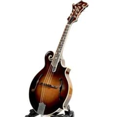 Dano Custom Mandolin F type フラットマンドリン - メルカリ