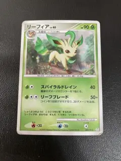 2026年最新】リーフィアLvの人気アイテム - メルカリ