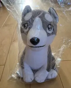 2026年最新】銀牙 ぬいぐるみの人気アイテム - メルカリ