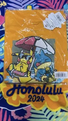 2026年最新】wcs2024 ピカチュウ ゴンベの人気アイテム - メルカリ