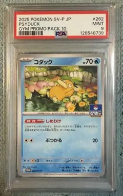 2026年最新】コダック 【SV-P 262/SV-P】の人気アイテム - メルカリ