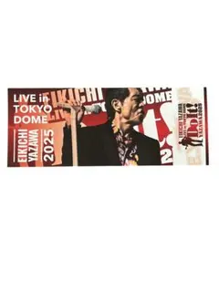 2026年最新】矢沢永吉コンサートチケット半券の人気アイテム - メルカリ